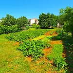 Vakantiehuis House 1037